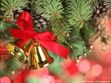 christmas bells hanging from a christmas tree with a red ribbon