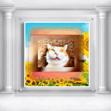 a picture of a cat surrounded by sunflowers