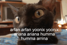 a close up of a cat with the words arfan arfan yoonix yoonix