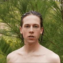 a shirtless young man with wet hair is standing in front of a pine tree