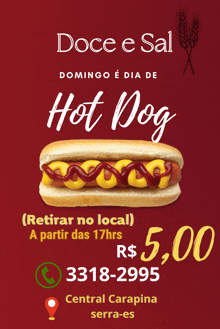 a hot dog with ketchup and mustard is on a red background