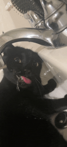 a black cat is drinking water from a faucet with a pink tongue sticking out