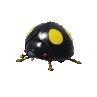 a black ladybug with yellow spots on it 's shell