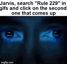 jarvis searches rule 229 in gifs and clicks on the second one that comes up .