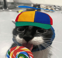 a black and white cat wearing a colorful hat is licking a lollipop