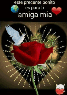 a red rose is surrounded by a heart with a dove and the words `` este precente bonito es para ti amiga mia '' .