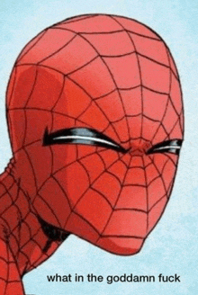 a close up of a spider man 's face with the words what in the goddamn fuck written below it