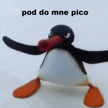 a stuffed penguin with the words " pod do mne pico " written above it