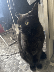 a black cat is sitting on a checkered floor and looking at the camera