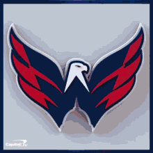 a logo for the capital one eagles is shown