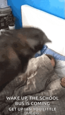 a cat is laying on a child 's head in a bed .