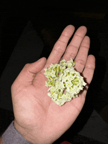 a hand is holding a pile of green flowers