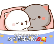 a cartoon of two cats laying next to each other with the words " goodnight my freaku " below them