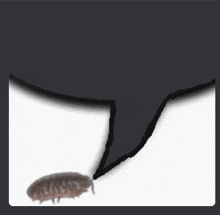 a drawing of a bug and a speech bubble