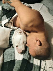 a man laying on a bed with a dog