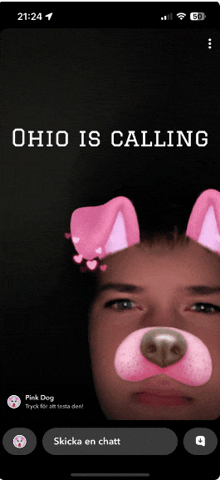 a phone screen with a pink dog face and the words ohio is calling on it