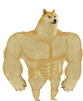 a doge with a very muscular body and a white background