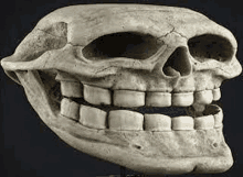 a skull with a big mouth and teeth is sitting on a table .