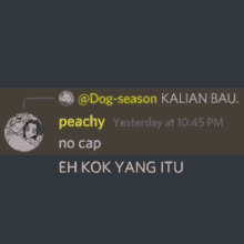 a screenshot of a conversation between dog-season kalian bau and peachy