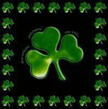 a green four leaf clover is on a black background surrounded by other four leaf clovers .