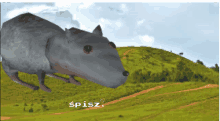 a computer generated image of a rat in a grassy field with the words spisz below it