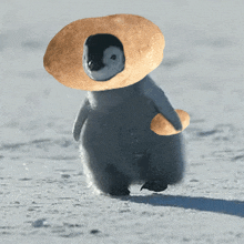 a baby penguin wearing a hat and holding a donut walking in the snow