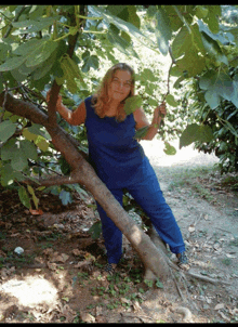 a woman in a blue top and blue pants is standing on a tree branch