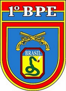 a shield with two crossed guns and a snake and the word brasil on it