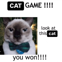 a cat wearing a bow tie is next to a cat game advertisement