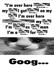 a black and white photo of a cat with the words " i 'm over here " on top