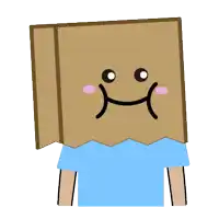 a person with a paper bag on their head with a smiley face drawn on it