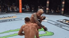 two men are fighting in a cage in a ufc match .