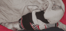 a dog wearing a sweater that says " i love you " is laying on its back