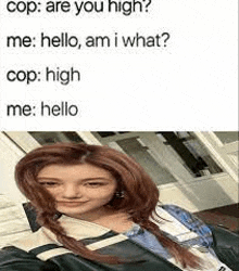 a woman is taking a selfie with a caption that says cop : are you high ?