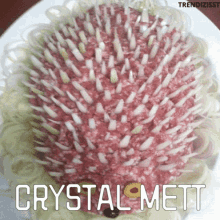 a plate of food that looks like a hedgehog with crystal mett written on the bottom