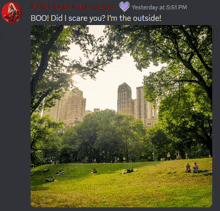 a message from kim evan peters lover shows a picture of a park