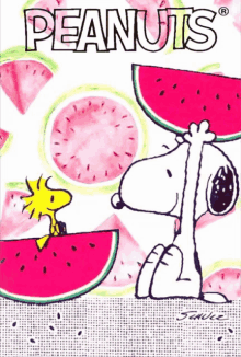 a poster of snoopy and woodstock eating watermelon