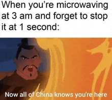 when you 're microwaving at 3 am and forget to stop it at 1 second now all of china knows you 're here