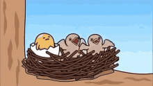 a group of birds are sitting in a nest with an egg in it .