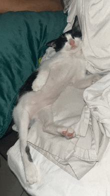 a black and white cat is sleeping on a bed