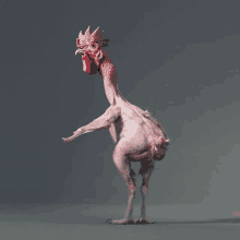 a chicken without feathers is standing on one leg and looking at the camera