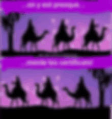 a blurred image of three wise men riding camels on a purple background .