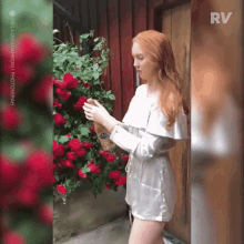 a woman in a white dress is standing in front of a bush of red roses with the letters rv above her