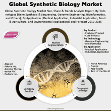 global synthetic biology market size share & trends analysis report