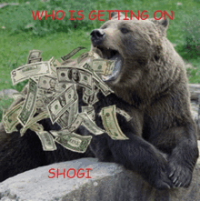 a picture of a bear with money in its mouth and the words who is getting on shogi on the bottom