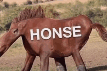 a brown horse with the word honse written on its back is walking in a field .