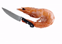 a shrimp with a knife sticking out of it on a white background