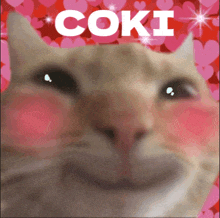 a close up of a cat 's face with the words " coki " written above it