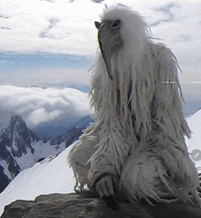 a white furry animal is sitting on a snowy mountain