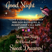 a good night message with a picture of a butterfly and flowers